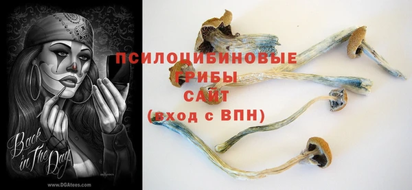 a pvp Бугульма