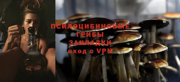 а пвп мука Бронницы