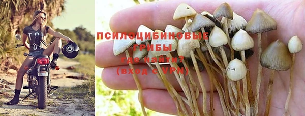 бутират Бородино
