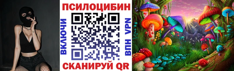 Галлюциногенные грибы Psilocybe  Трёхгорный 